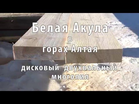 дисковый многопил белая акула видео дисковый многопил белая акула видео