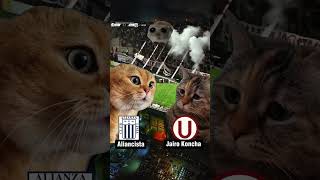 kF4Zd1Upwv4 Video Image