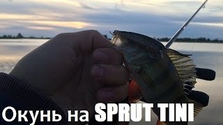 Окунь на SPRUT TINI