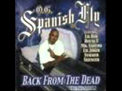 Oldie 2000 Video