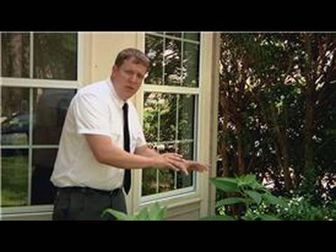 Pest Control : How to Get Rid of Stink Bugs. Aug 13, 2009 10:10 AM. Stink bugs are bugs that feed on the nectar that comes from plants, and one of the best