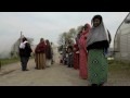 the Bantu Migration Investigation