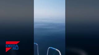 Большая Акула В Уссурийском Заливе
