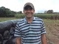 ensilaje en bolsa