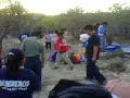 1er Campamento Juvenil Delfines