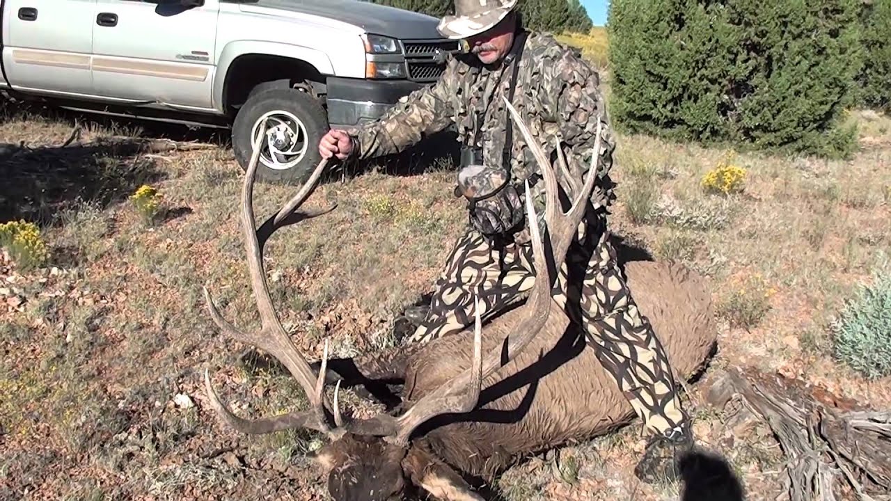370 bull elk