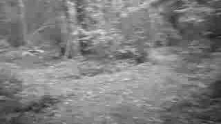 Watch Timo Raisanen When My Tear Hits The Floor video