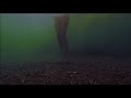 First Shark Night 3d Exclusive Clip First Shark Night 3d Exclusive Clip
