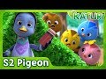 [Katuri S2] Fantastic Mrs. Pigeon | S2 EP04
