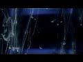 Moonbabies - Over My Head