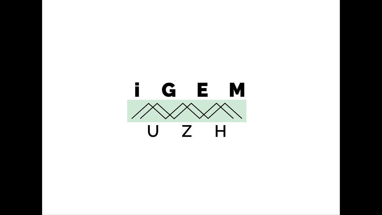 UZurich2021