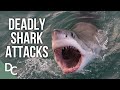 Deadly Shark Attacks Of Australia | Shark Alarm: Australia's Deadliest Year | Documentary Central