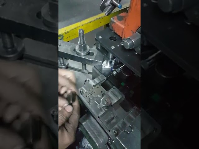 Tüm Videolar