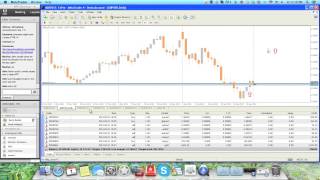 market profile urban forex