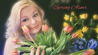 Long Blah, Blah Asmr Soft Spoken About Spring Easter Haul