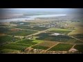 Citrus in the Riverina - Australia's Food Bowl