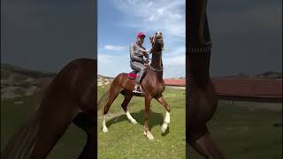 Кататся На Лошадах  #Shorts  #Horse