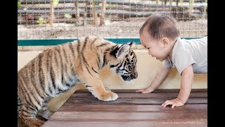 5 Niños que Fueron Criados por Animales 2