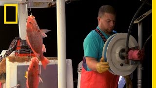 Two Days To Delivery Big Fish Texas