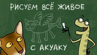 Рисуем Всё Живое С Акуаку // Курсы Юного Натуралиста 