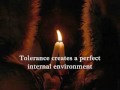 Tolerance