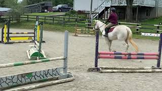 Megan Coppage On Perfect Art - Hunter Over Fences 26