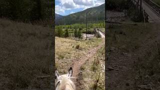 Packing Into The Bob Marshall Wilderness