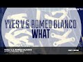 Yves V & Romeo Blanco - What (Original Mix)