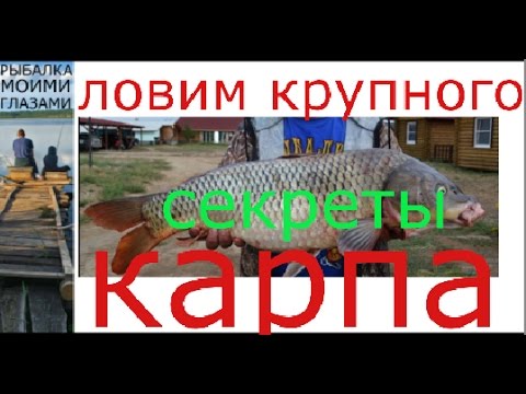 как правильно вываживать рыбу на фидер как правильно вываживать рыбу на фидер