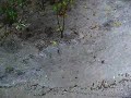 Vilamendhoo, Maldives, South Ari Atoll