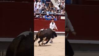 Recorte Jonathan Estébanez El Peta Toro Bravo Patasblancas Galache Las Ventas Madrid #Shorts