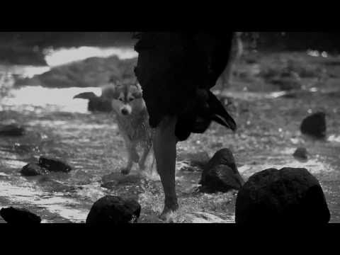AR Rahman new music video - Changing Season Teaser