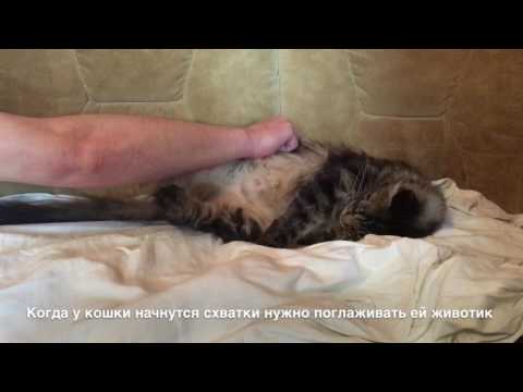 Меня достали! - бэби. ру Люберецкий роддом - Выбираем роддом - Форум Дети
