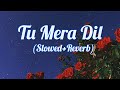Tu Mera Dil-[Slowed+Reverb] - Falak | Tunes Yard