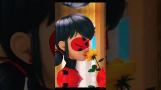Miraculous Character With Rose
