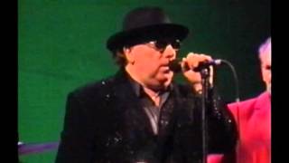 Watch Van Morrison How Long Has This Been Going On video