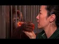 Animals Planet +  Among the Great Apes with Michelle Yeoh