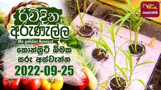 2022-09-25 | Agriculture Programme