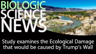 Science News - Study examines the Ecological Damage that would be caused by Trump's Wall