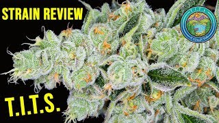 Strain Review: T.I.T.S.