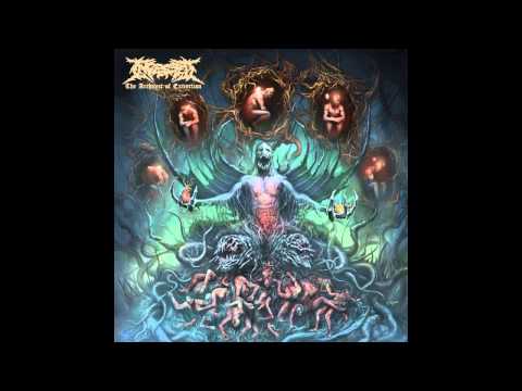 Endless Despondency Video