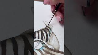 Ocean Artistry The Pyjama Squid
