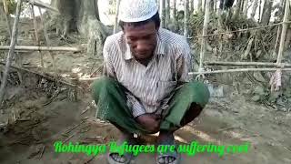Donors distributed Jackets & Shirts to the needy Rohingya Refugees