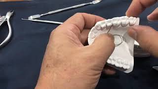 Bionator