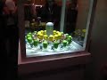 Awesome Android Zoetrope