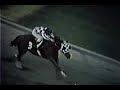 preakness stakes