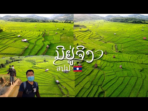 ສຸດງາມທົ່ງນາ ເມືອງເງິນ ແຂວງໄຊຍະບູລີ | สวยงามมากทุ่งนา เมืองเงิน สปป.ลาว Beautiful rice fields, Laos