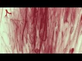 Exposición: "Sincronizando hilos y rizomas", de Chiharu Shiota