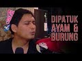 Lucky Hakim Dipatok Ayam dan Burung - Cumicam 22 September 2017