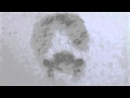 Charcoal Pencils video clip